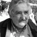 Mujica Mujica