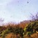 Bird Hunting in Uruguay