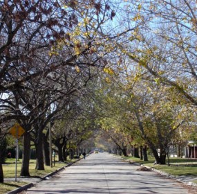 Carrasco Neighborhood Carrasco Neighborhood