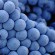 tannat grape