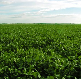 Land Value in Uruguay